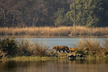 Maharashtra 11 Days Tour By Car